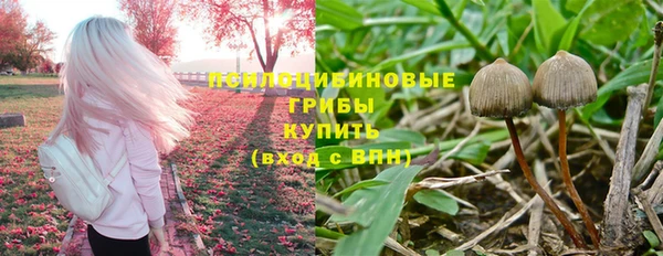 Альфа ПВП Покачи