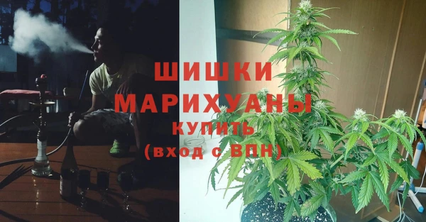 МДПВ Пролетарск