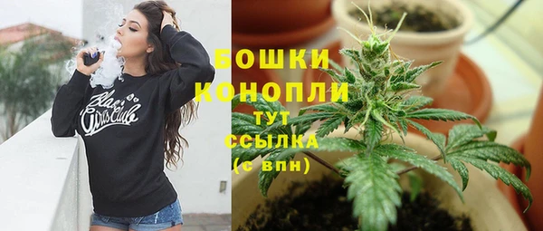 PSILOCYBIN Протвино